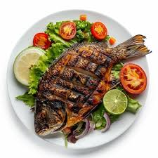 Tilapia Fish Meal